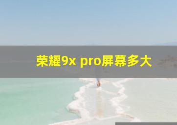 荣耀9x pro屏幕多大